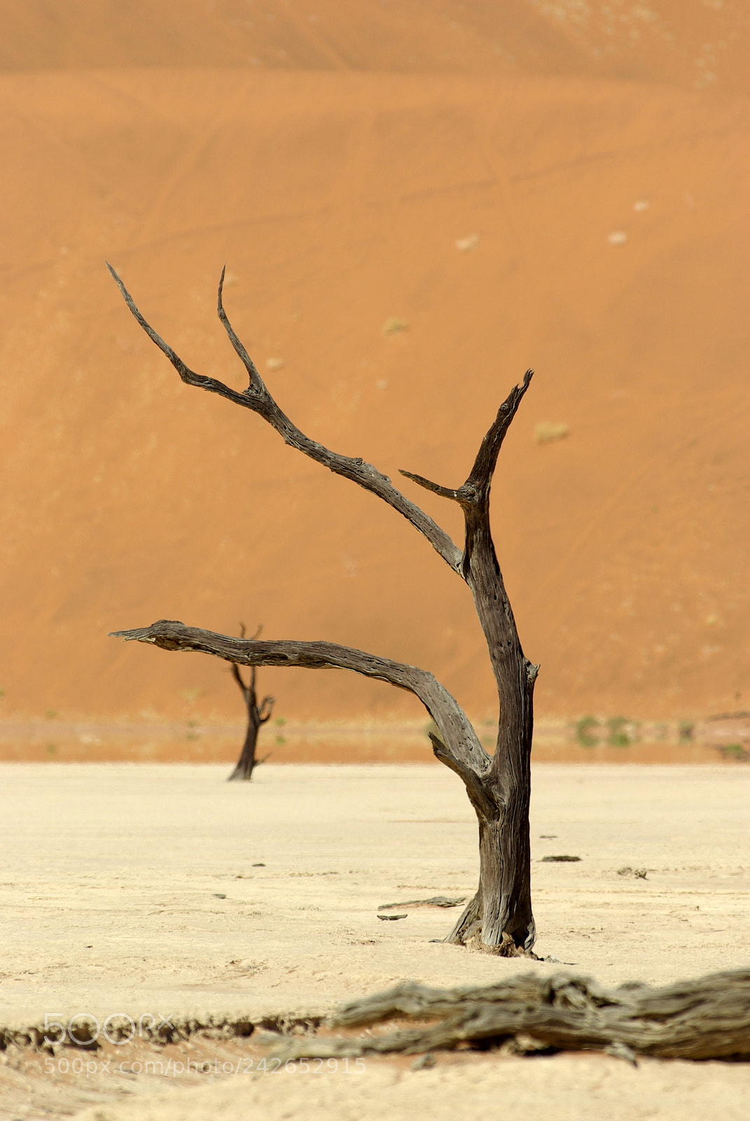 Pentax K10D sample photo. Namibie j photography