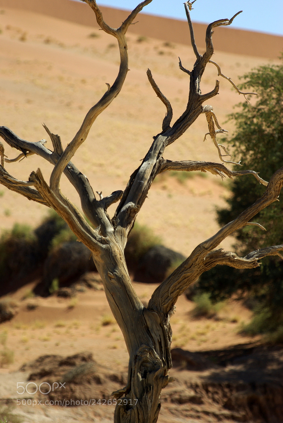 Pentax K10D sample photo. Namibie j photography