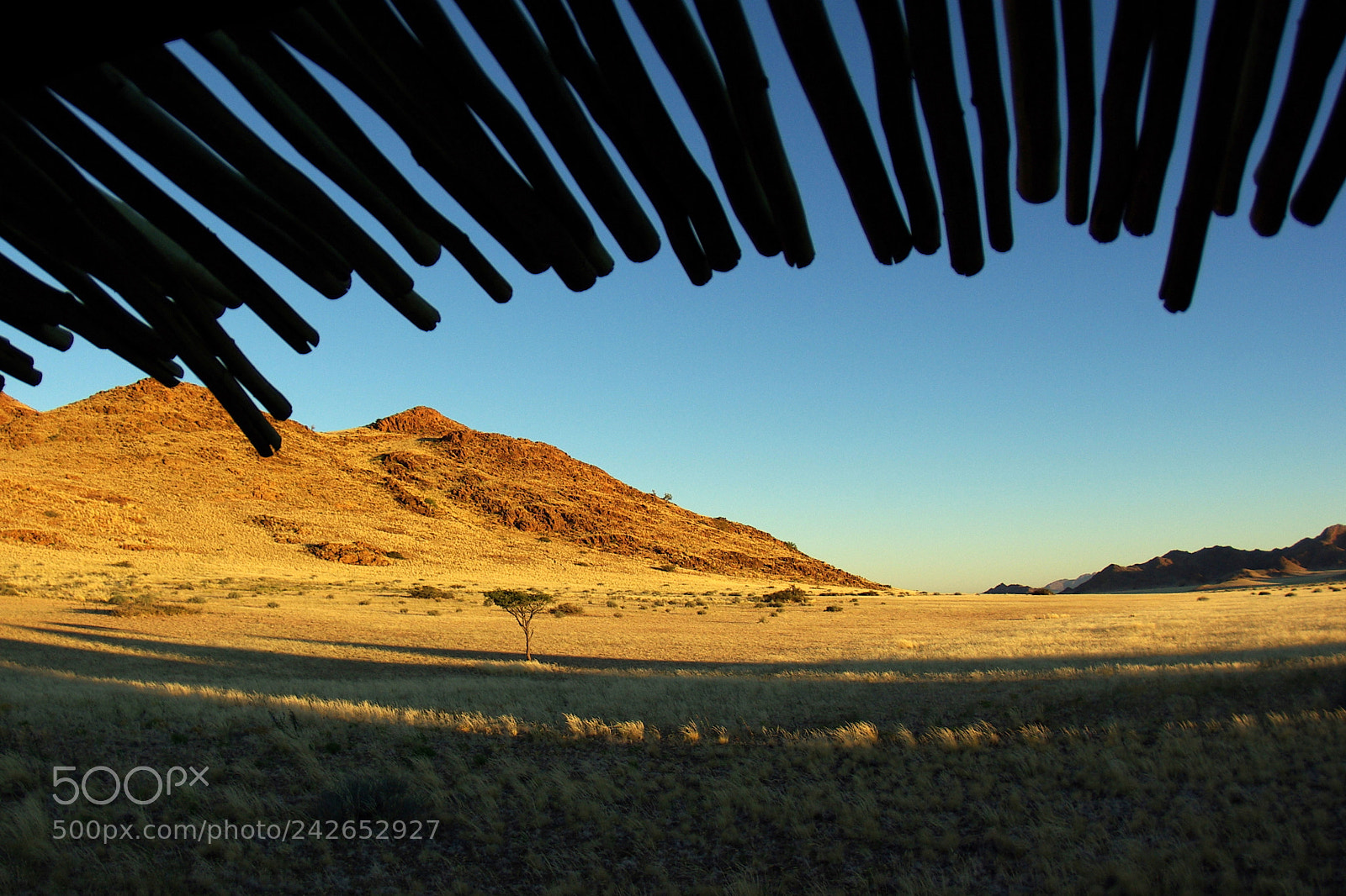 Pentax K10D sample photo. Namibie j photography