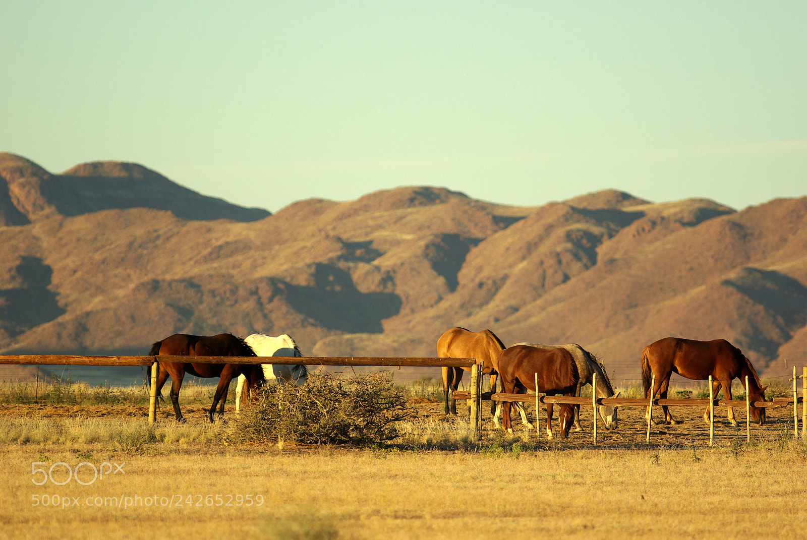 Pentax K10D sample photo. Namibie j photography
