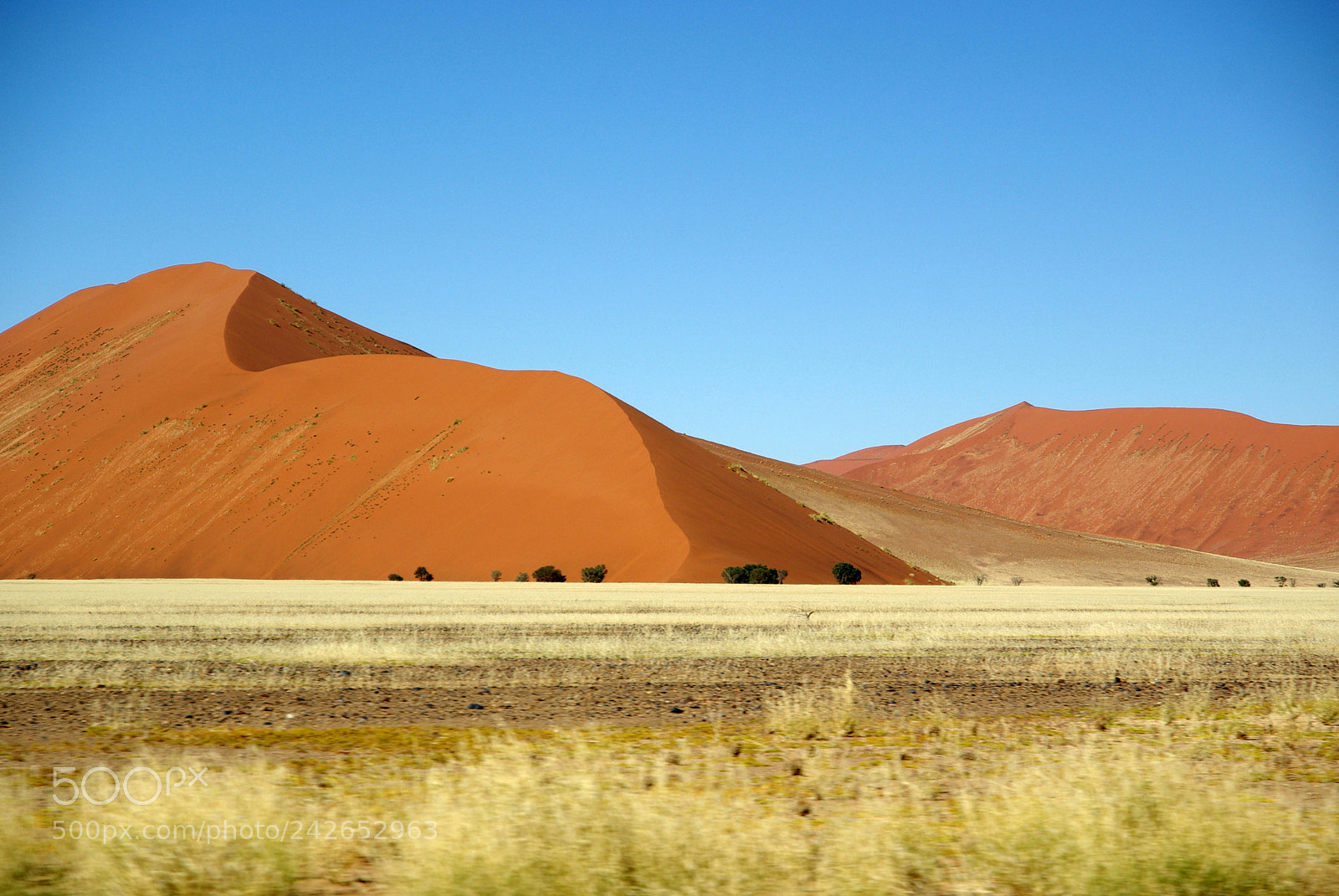 Pentax K10D sample photo. Namibie j photography