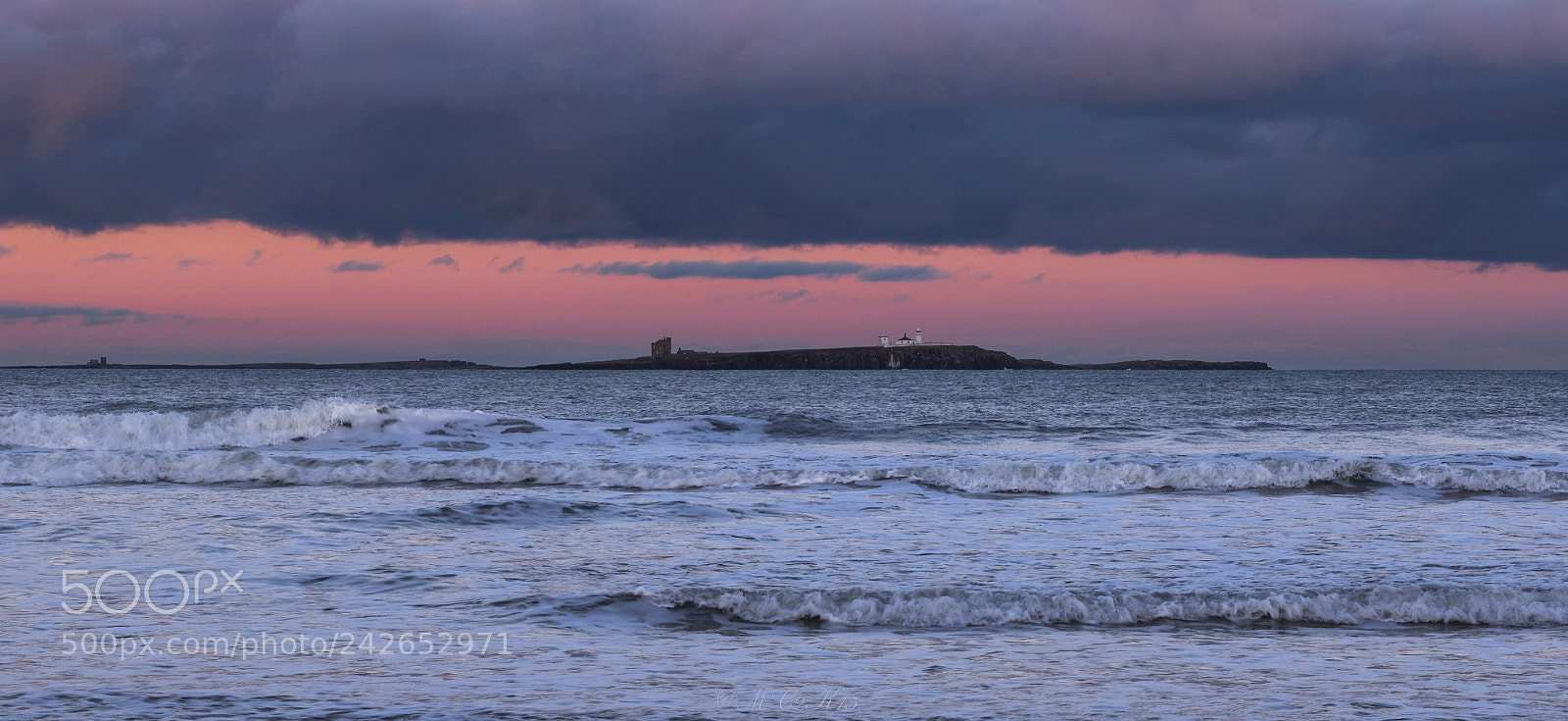 Canon EOS 7D Mark II sample photo. The farne islands photography