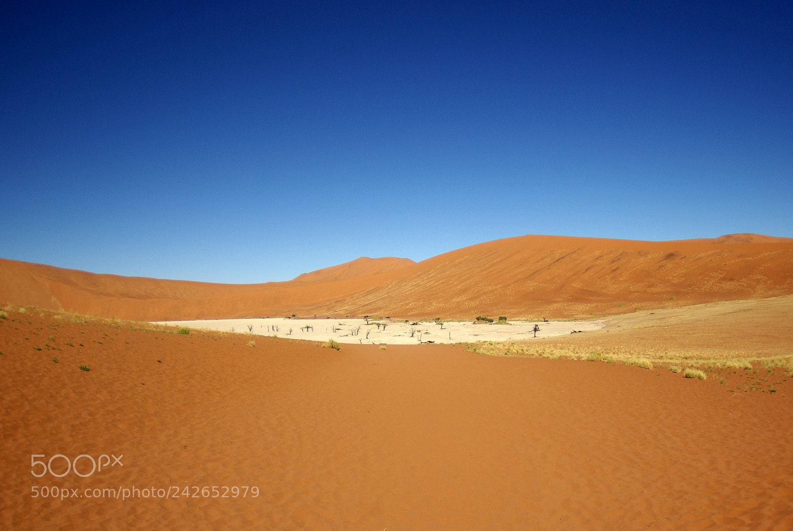 Pentax K10D sample photo. Namibie j photography
