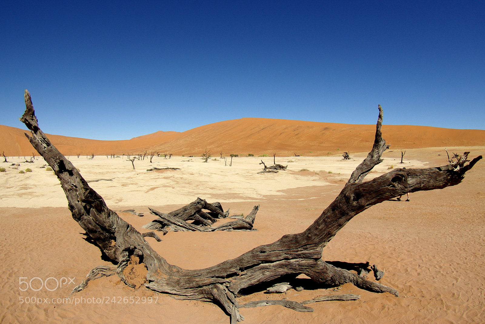 Pentax K10D sample photo. Namibie j photography