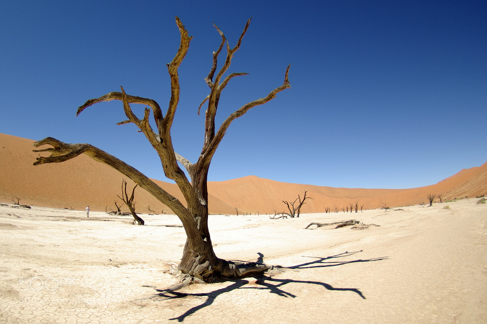 Pentax K10D sample photo. Namibie j photography