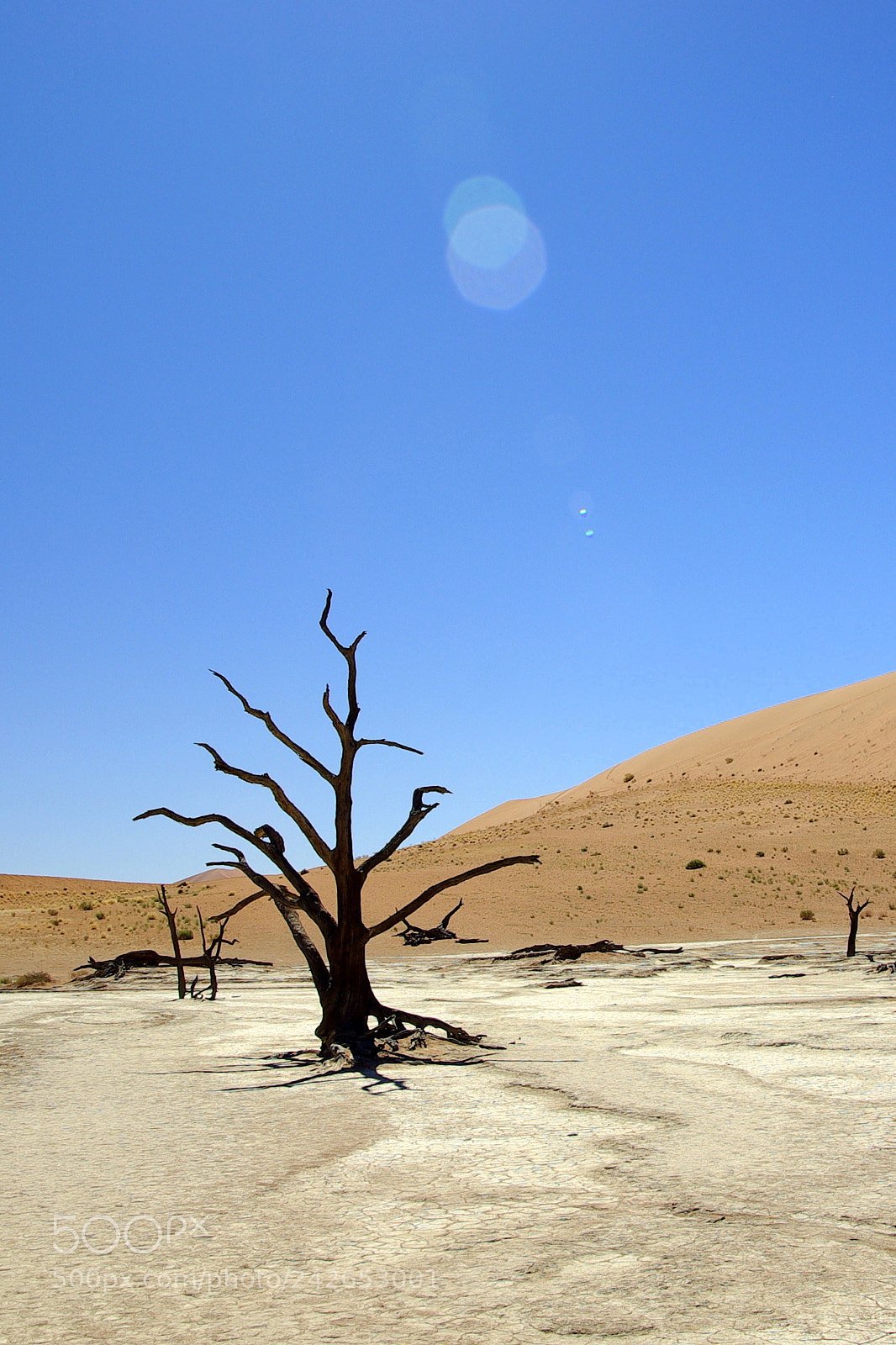 Pentax K10D sample photo. Namibie j photography