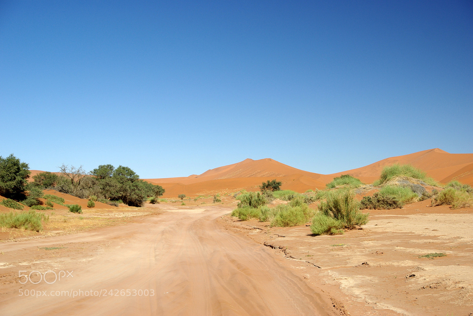 Pentax K10D sample photo. Namibie j photography