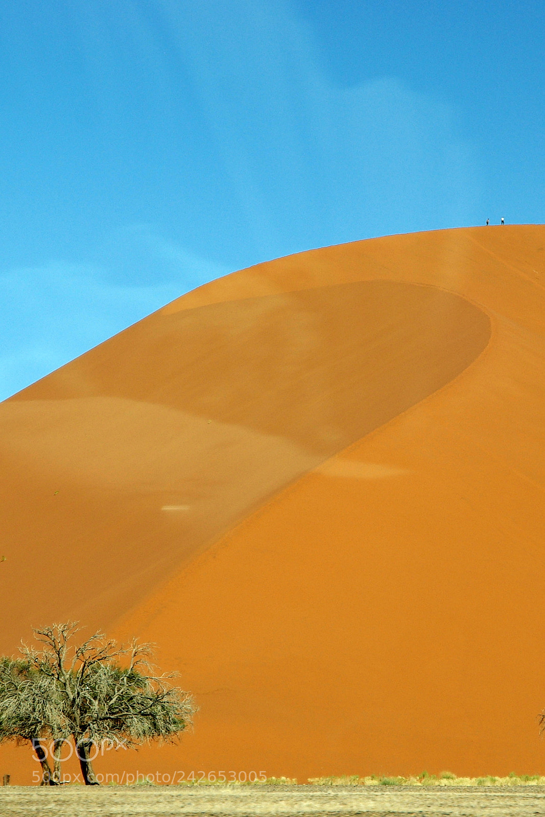 Pentax K10D sample photo. Namibie j photography