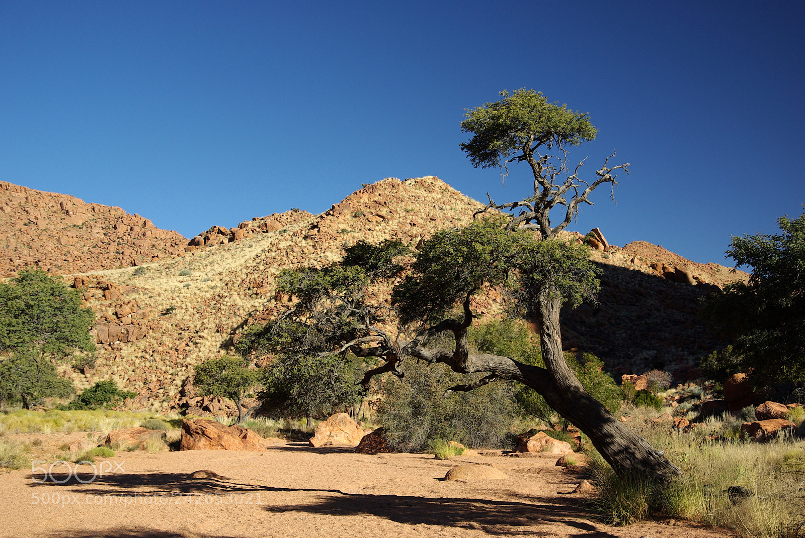 Pentax K10D sample photo. Namibie j photography