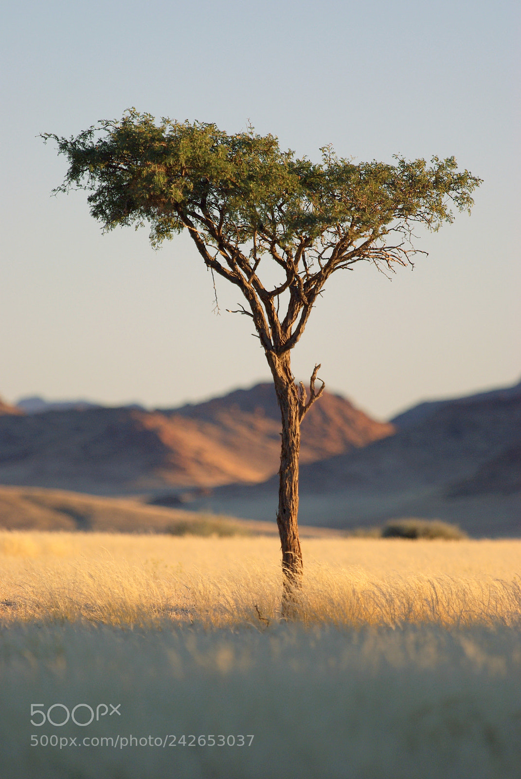 Pentax K10D sample photo. Namibie j photography