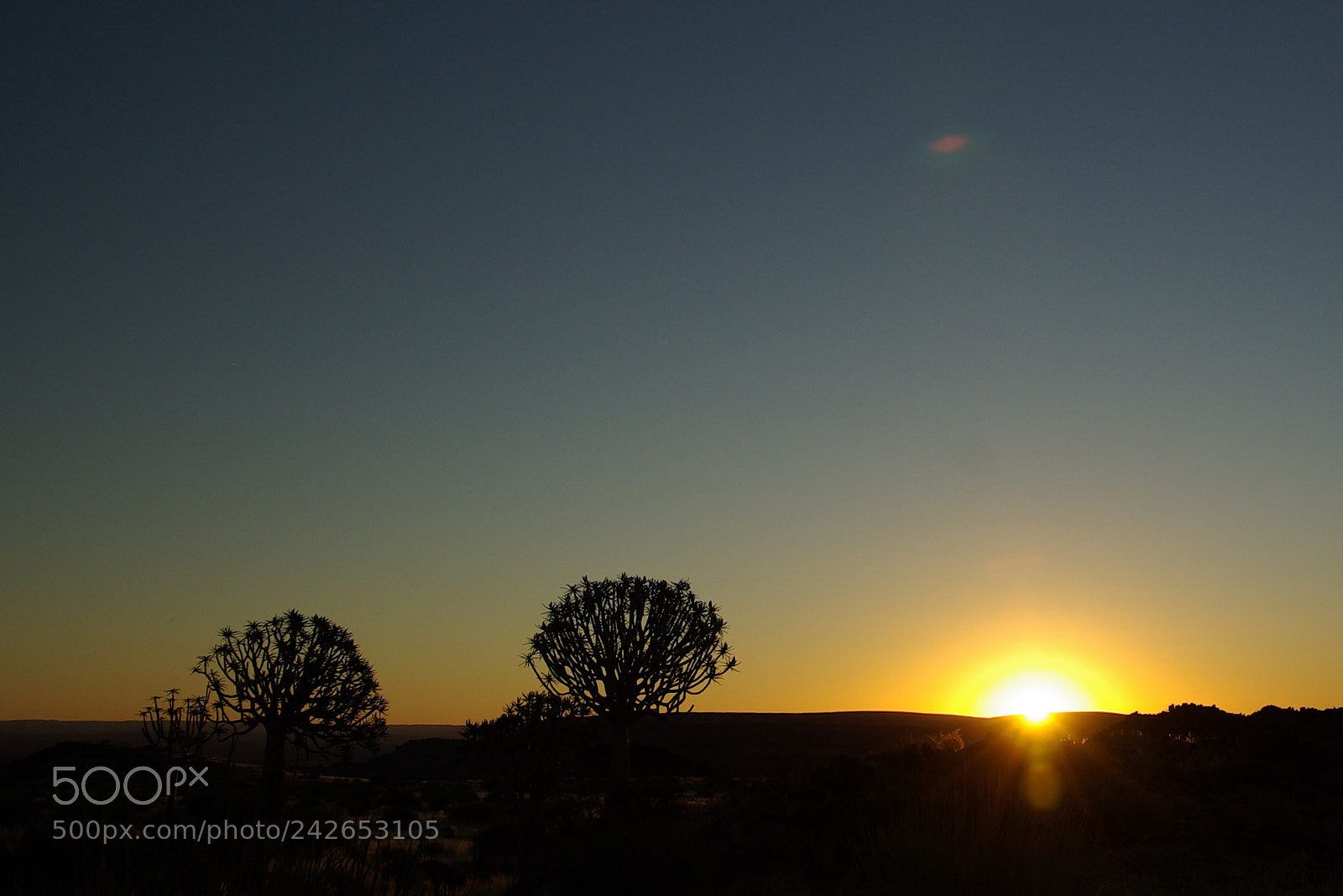 Pentax K10D sample photo. Namibie j photography