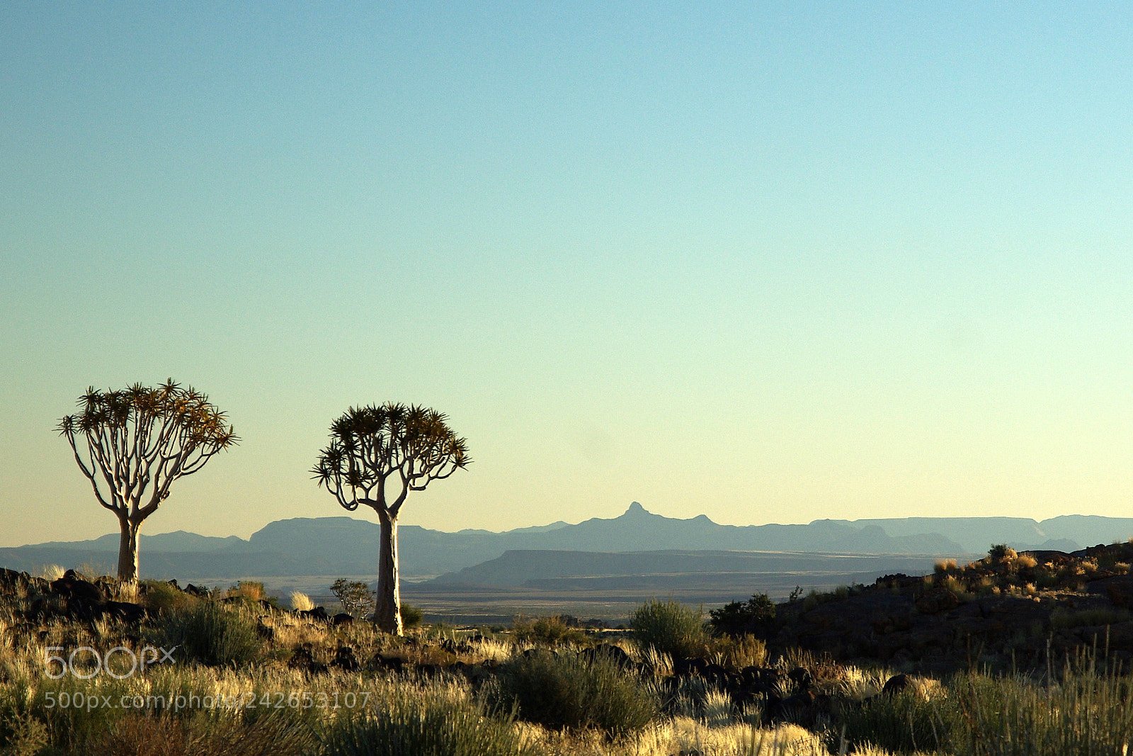 Pentax K10D sample photo. Namibie j photography