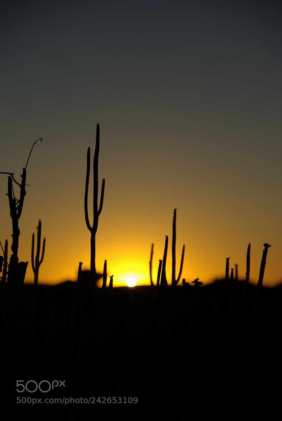 Pentax K10D sample photo. Namibie j photography