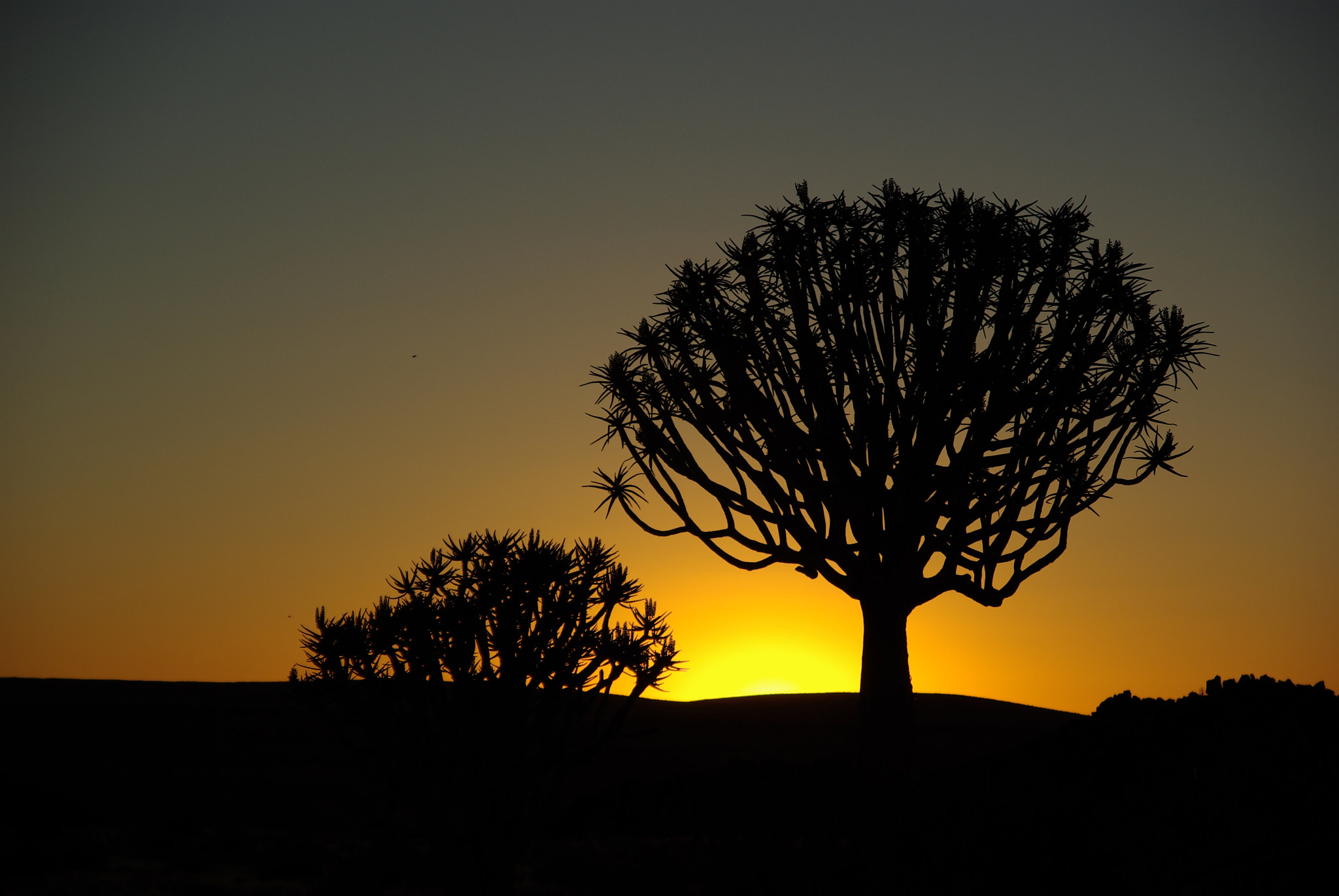 Pentax K10D sample photo. Namibie j photography