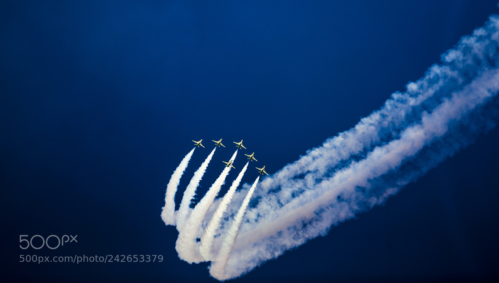 Canon EOS-1D X sample photo. #saudi_hawks #2 photography