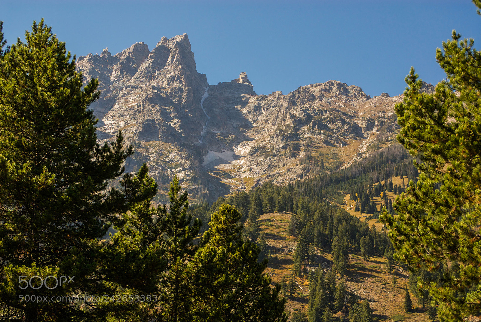 Nikon D200 sample photo. Climb photography