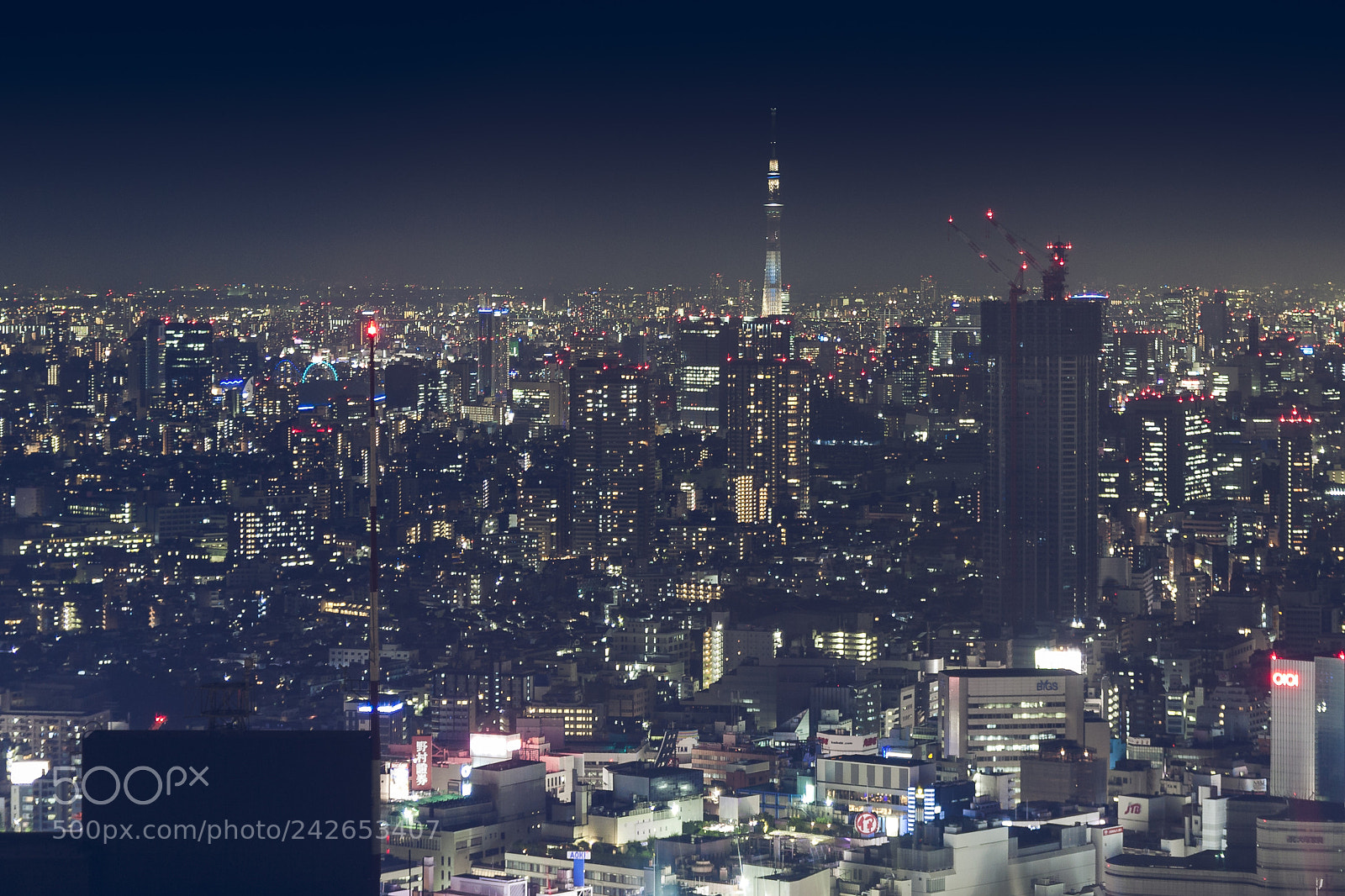 Canon EOS 450D (EOS Rebel XSi / EOS Kiss X2) sample photo. Tokyo night view photography