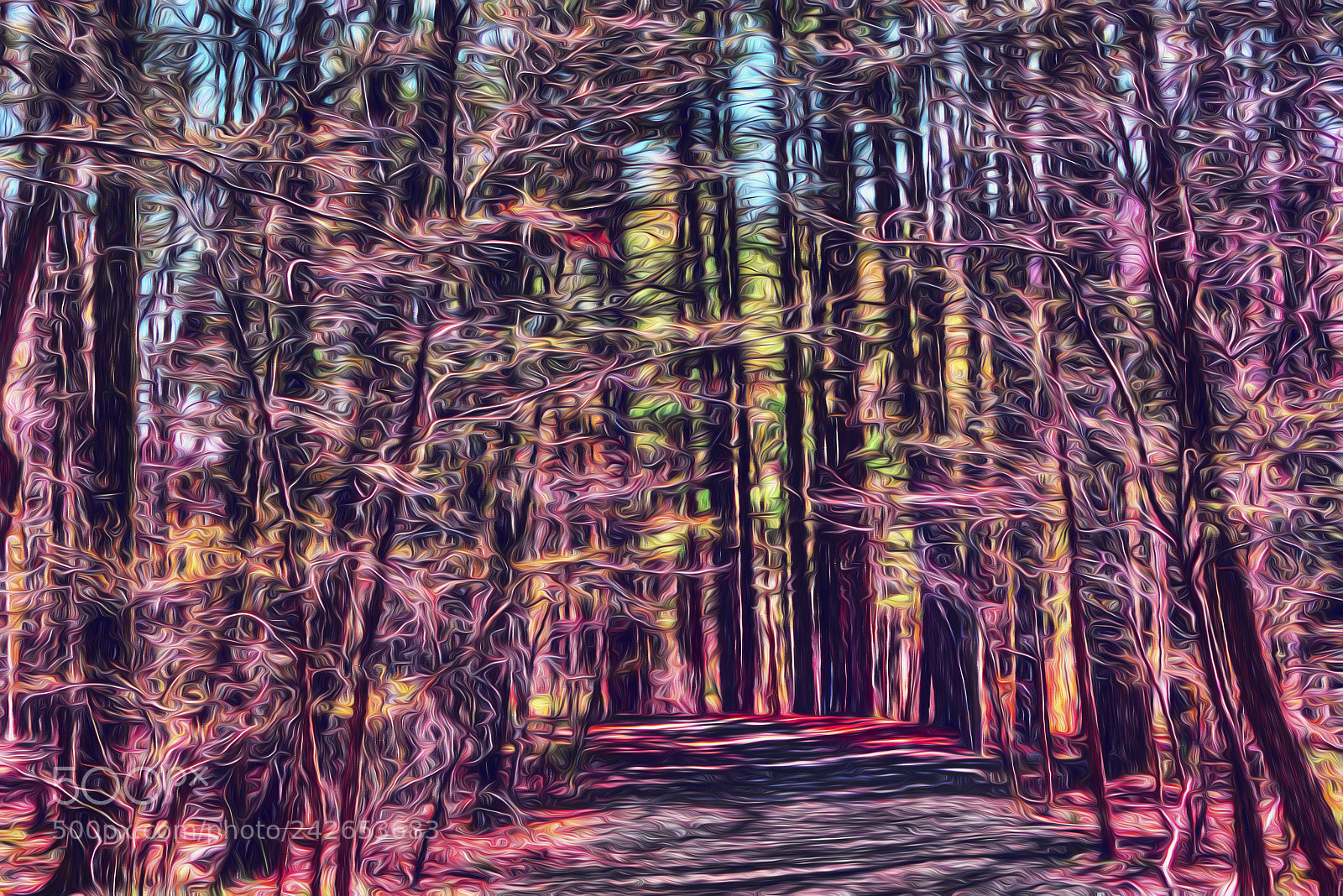Canon EOS 60D sample photo. Dreaming in the woods photography