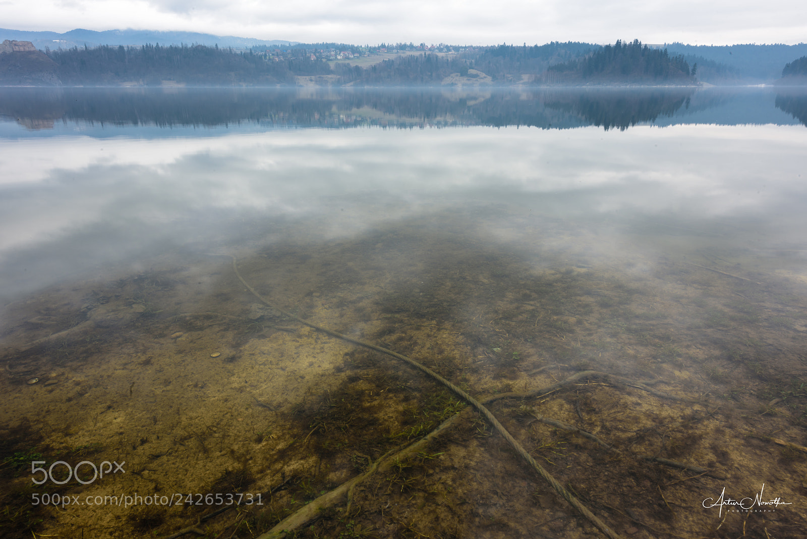 Nikon D810 sample photo. Czorszyn lake photography