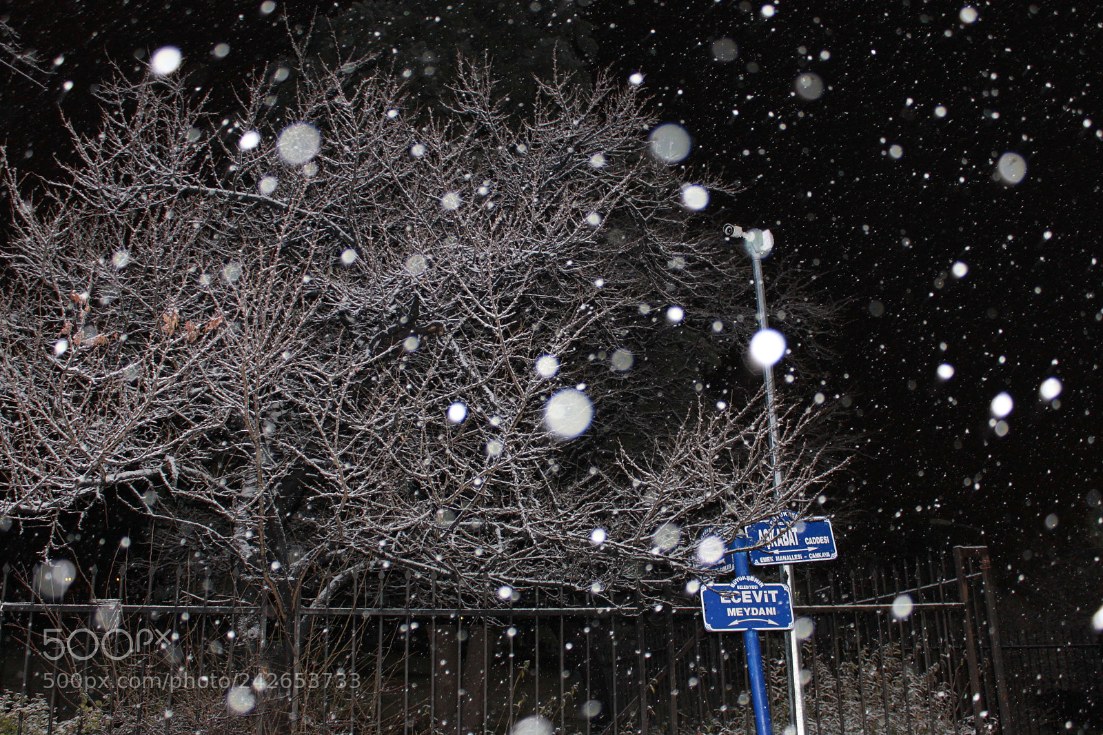 Canon EF-S 18-55mm F3.5-5.6 IS sample photo. Snow photography