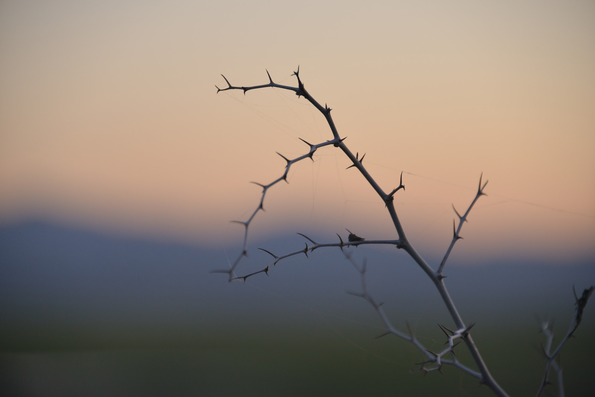 Nikon D800 sample photo