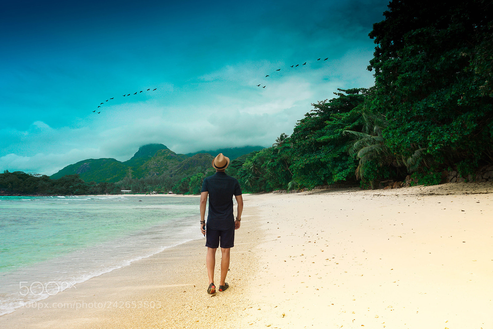 Sony a5100 sample photo. Walk along the beach photography