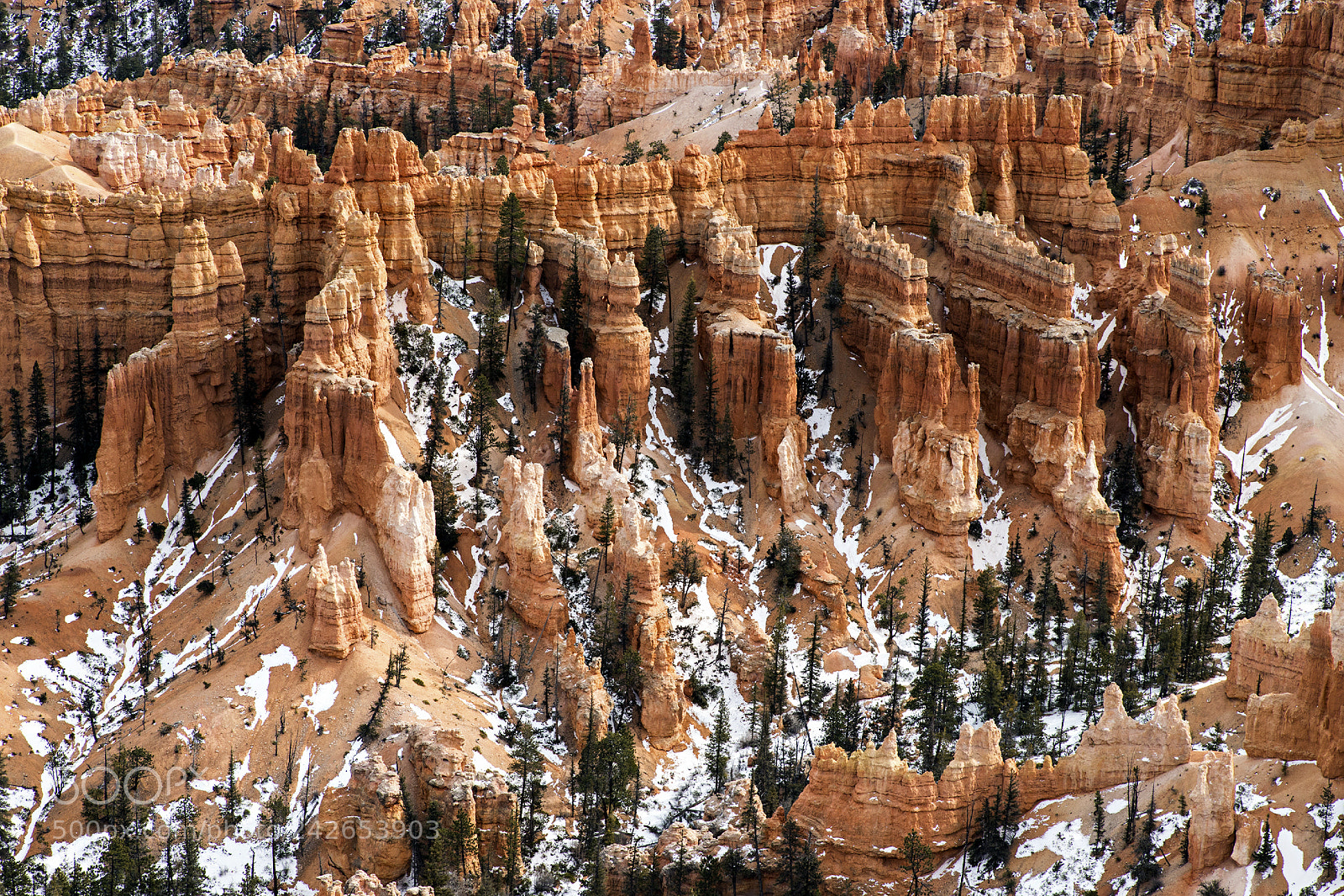 Canon EOS 6D Mark II sample photo. A matrix of hoodoos photography