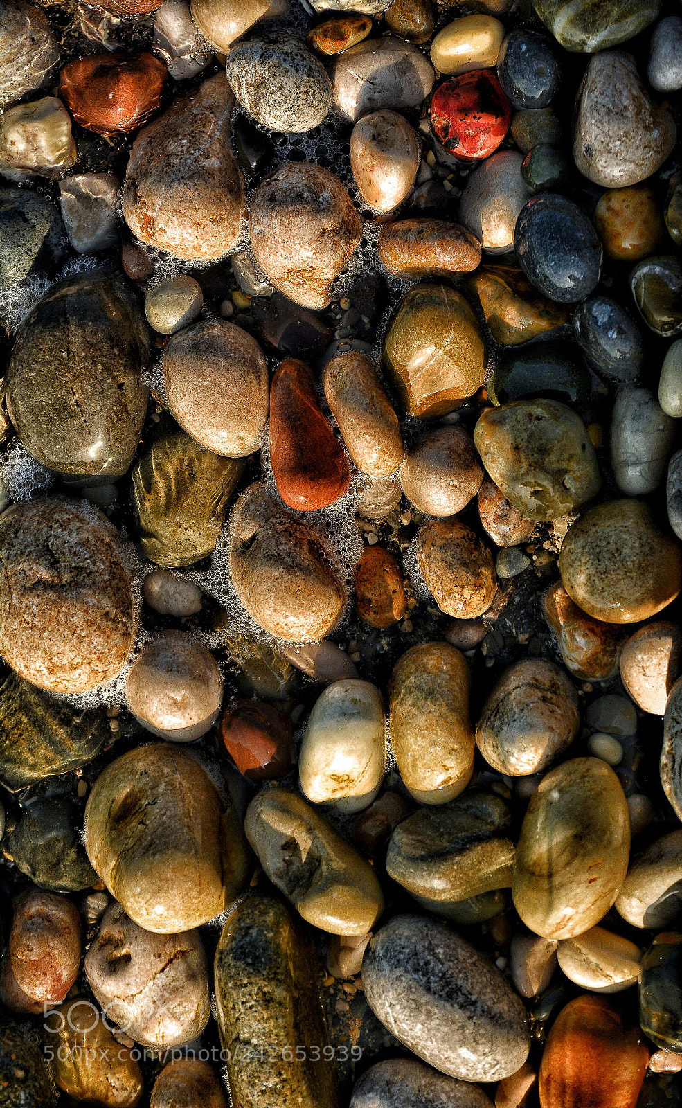 Nikon D7100 sample photo. Untitled photography