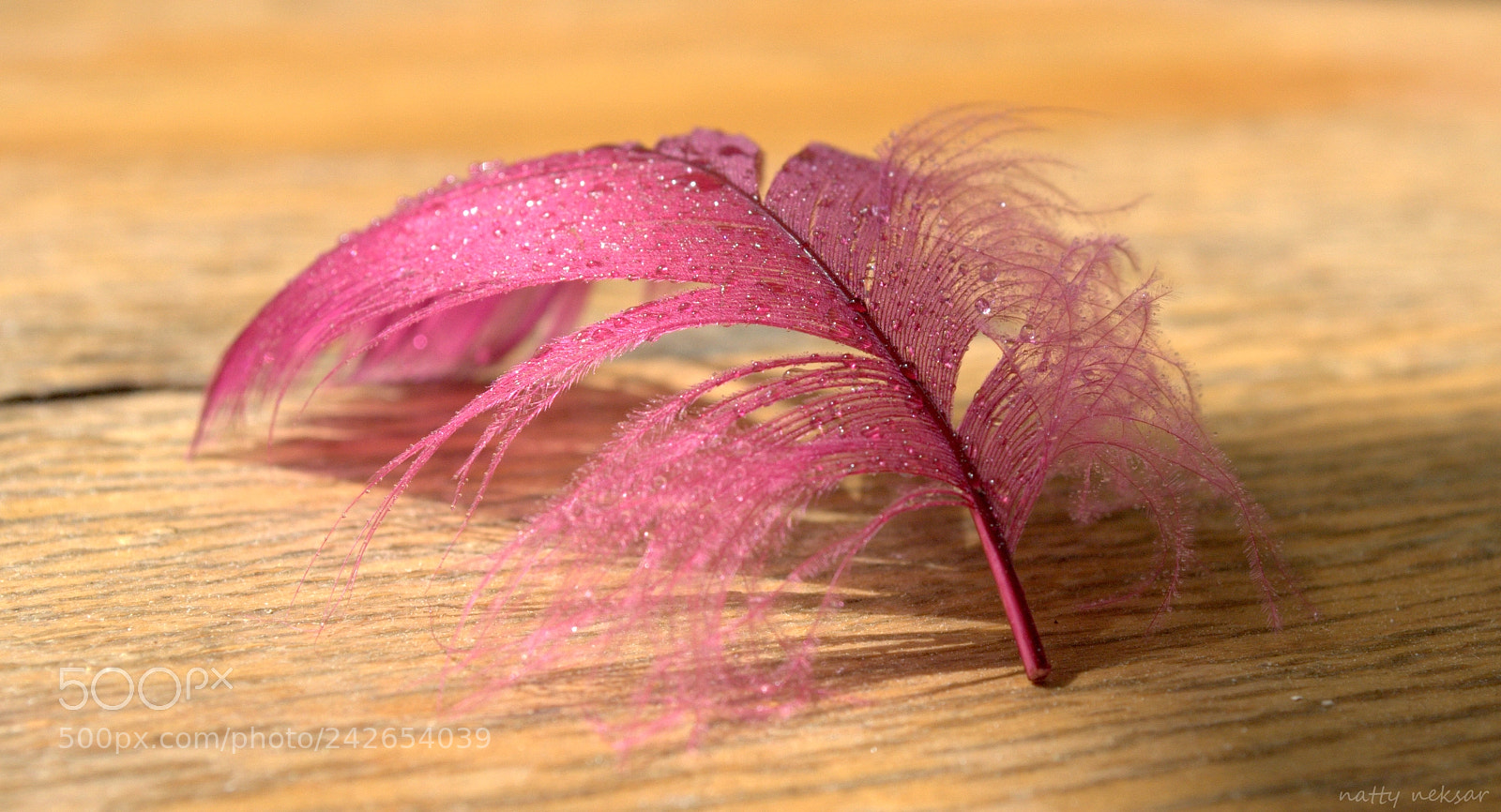 Nikon D60 sample photo. Lightness...#7 photography