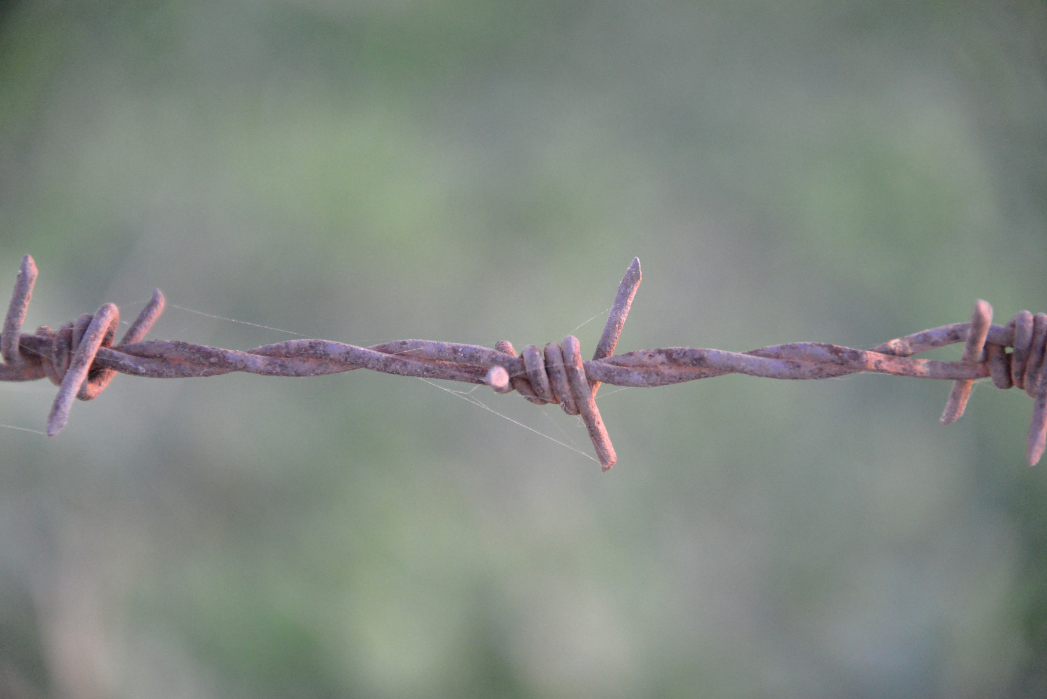 Nikon D800 sample photo