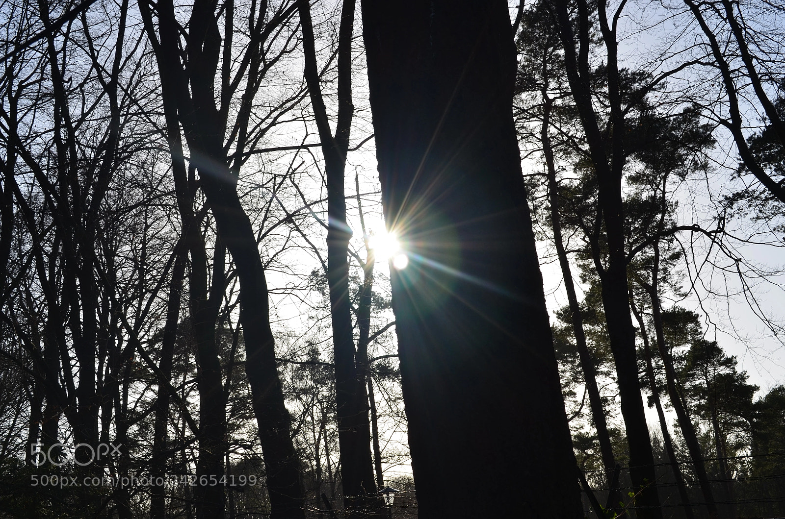 Nikon D5100 sample photo. Sneaking goddess photography
