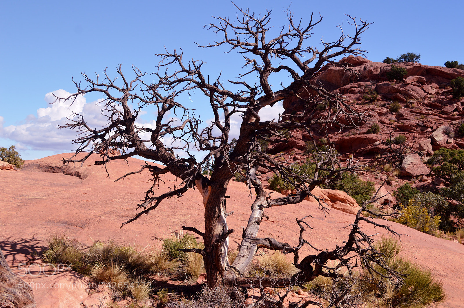 Nikon D3200 sample photo. Canyonlands photography