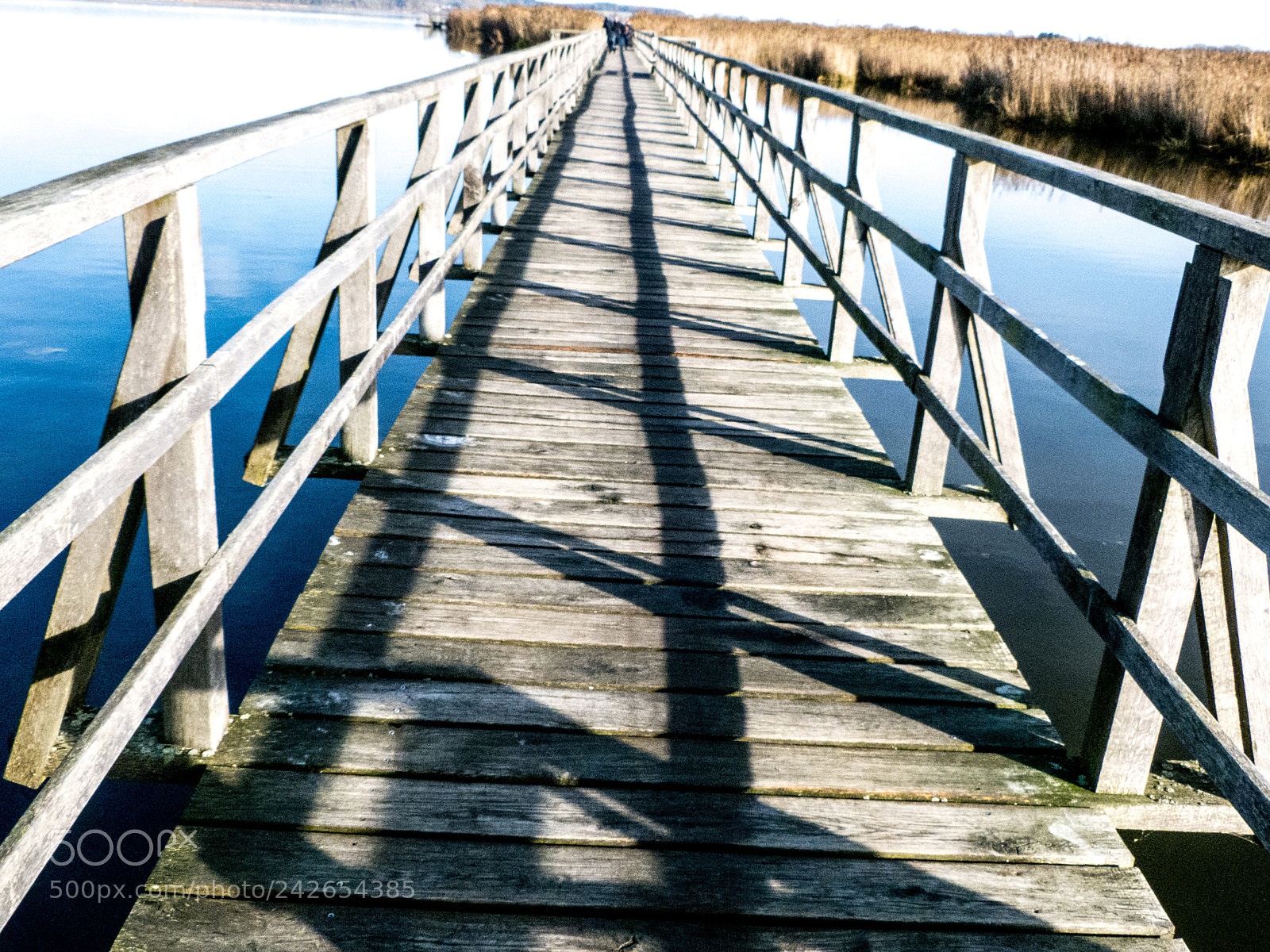 Panasonic Lumix DMC-FZ100 sample photo. Footbridge across the lake photography