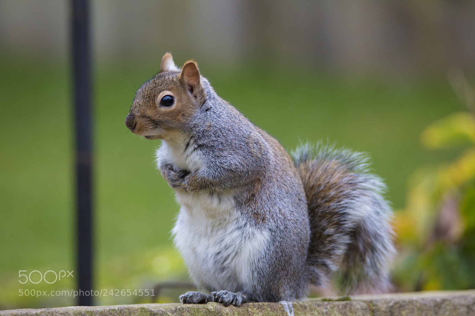 Canon EOS 5DS R sample photo. Xa photography