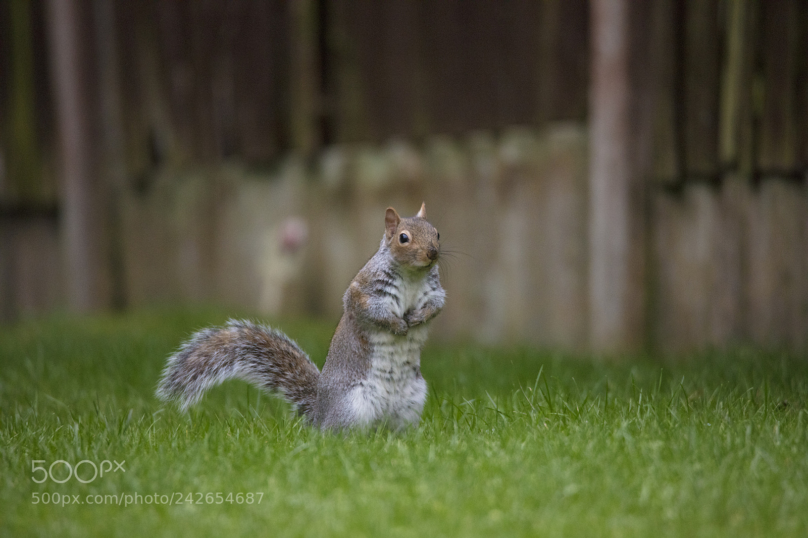 Canon EOS 5DS R sample photo. 1 photography