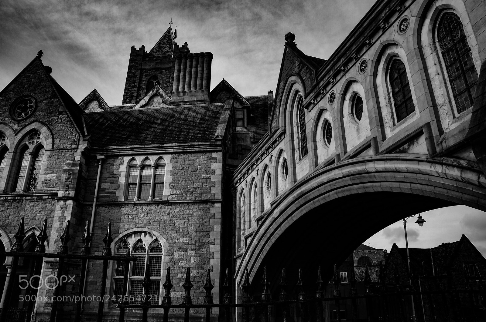 Sony Alpha NEX-5N sample photo. Christchurch cathedral dublin photography