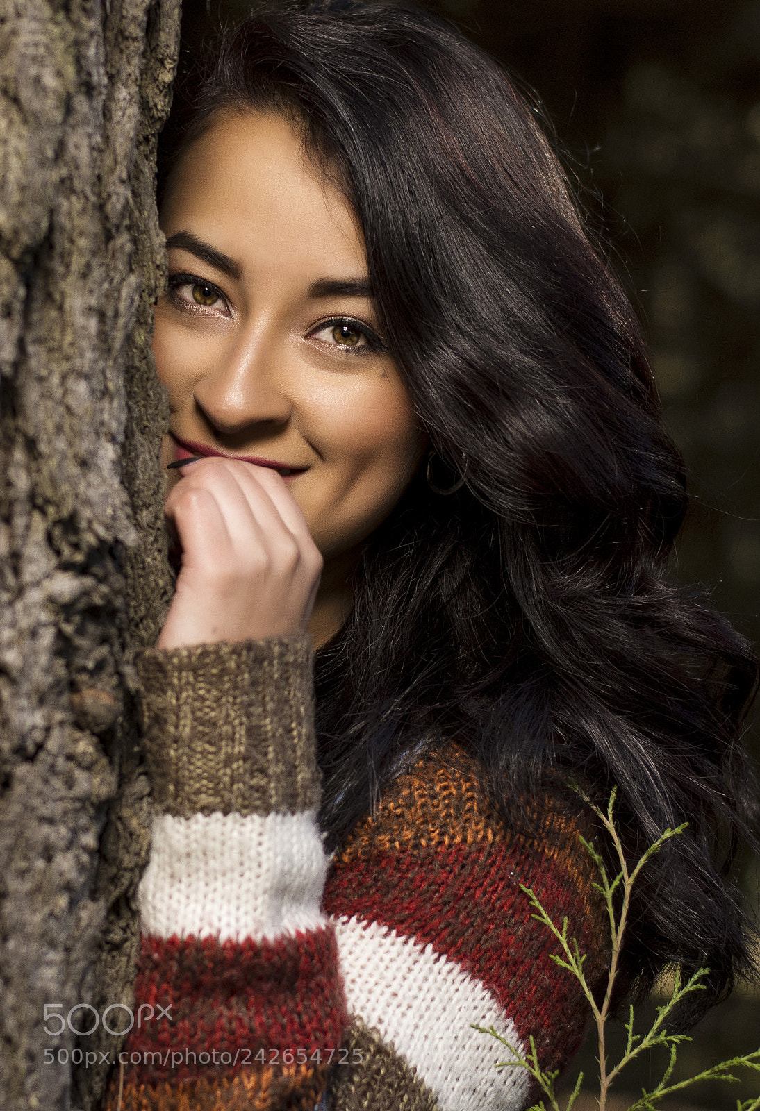 Nikon D7200 sample photo. Into the forest photography