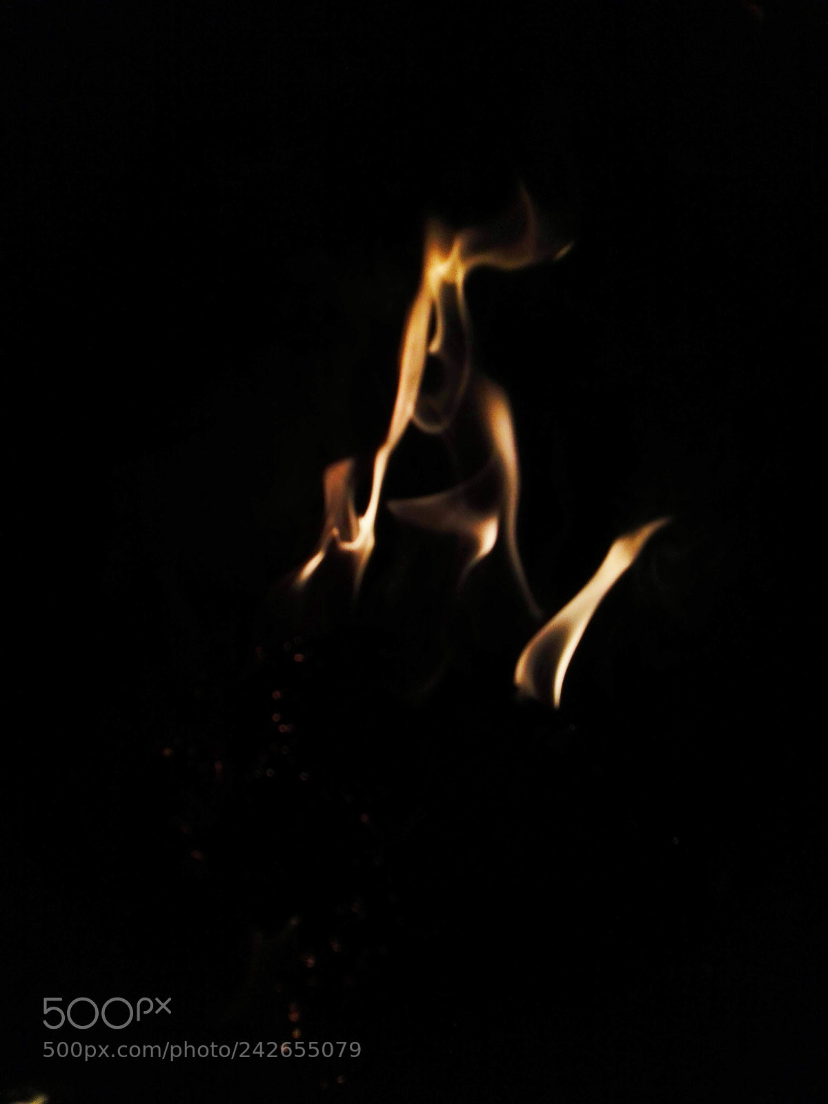 HUAWEI P8 Lite sample photo. Untitled photography