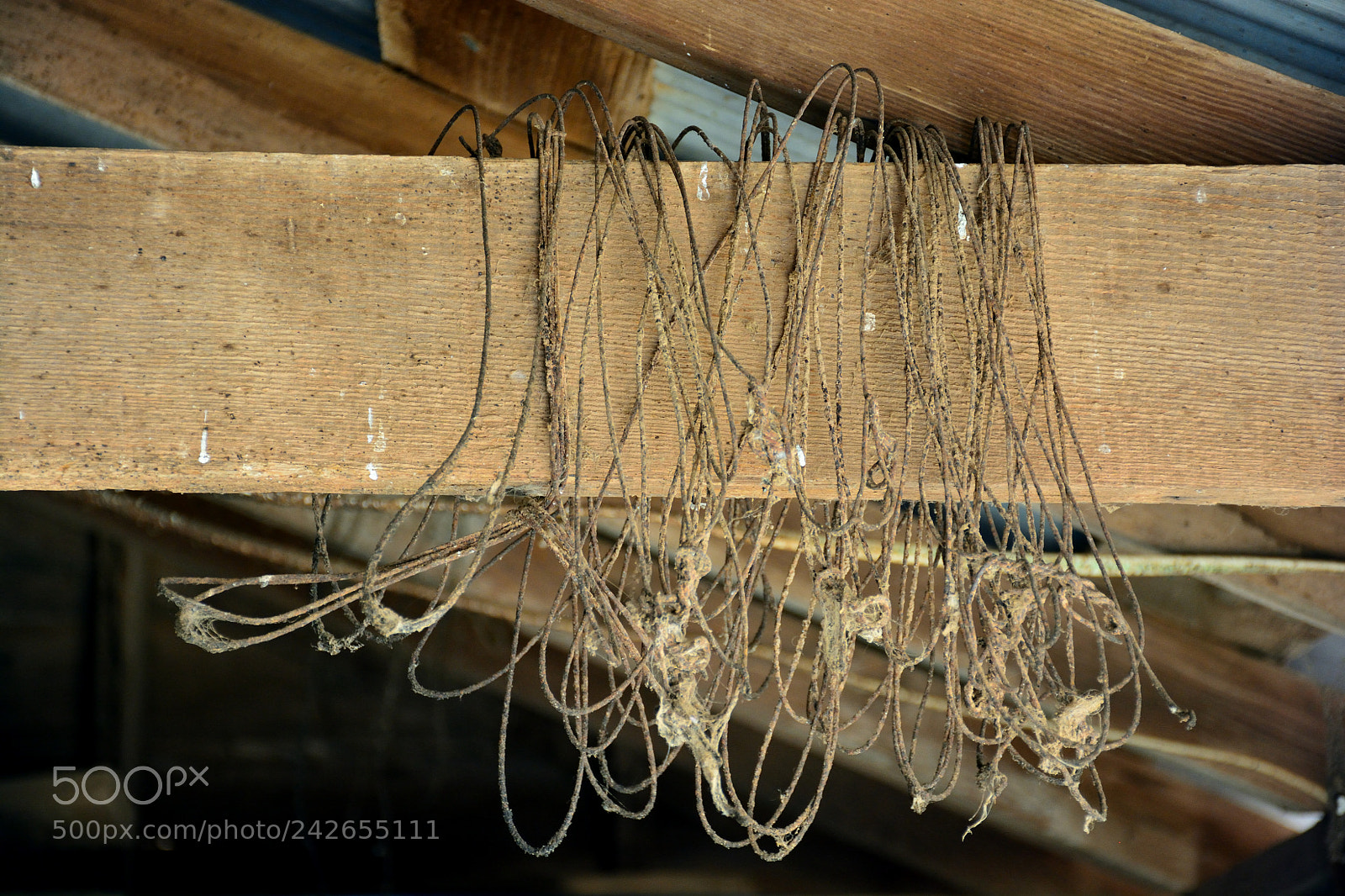 Nikon D7100 sample photo. The barn 5 photography