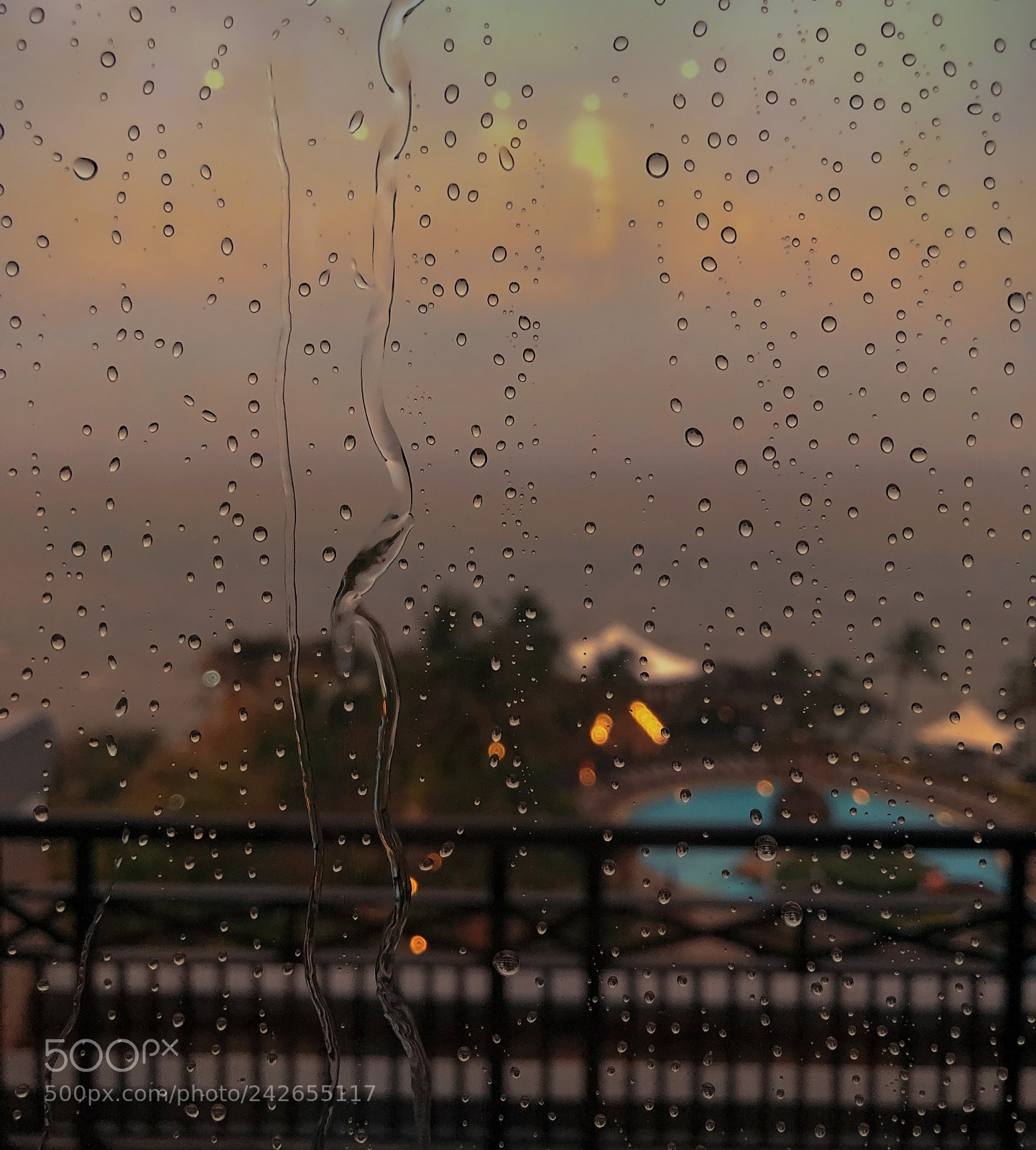 Apple iPhone X sample photo. Changing colours at sunset photography