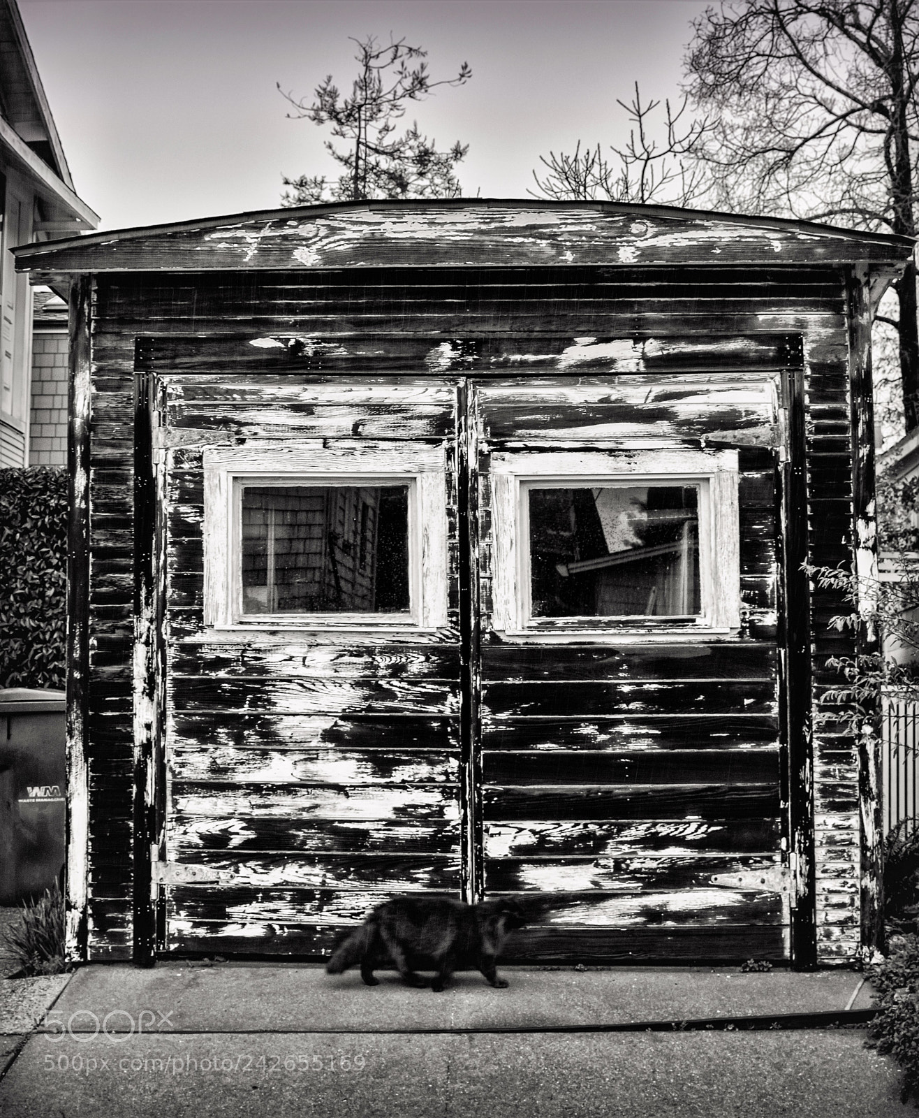 Nikon D500 sample photo. Old wooden garage and photography