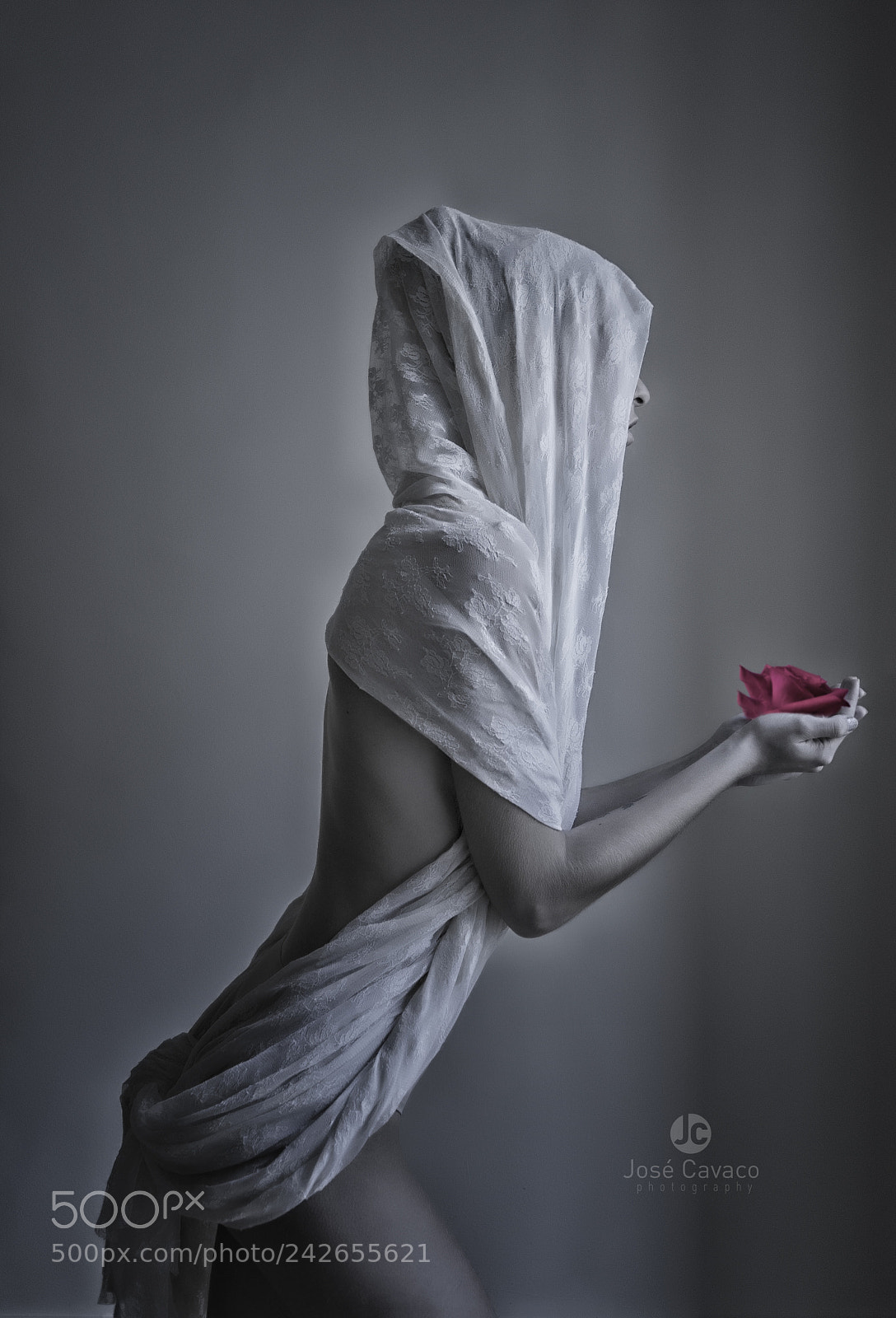 Sony a7 II sample photo. Red rose photography