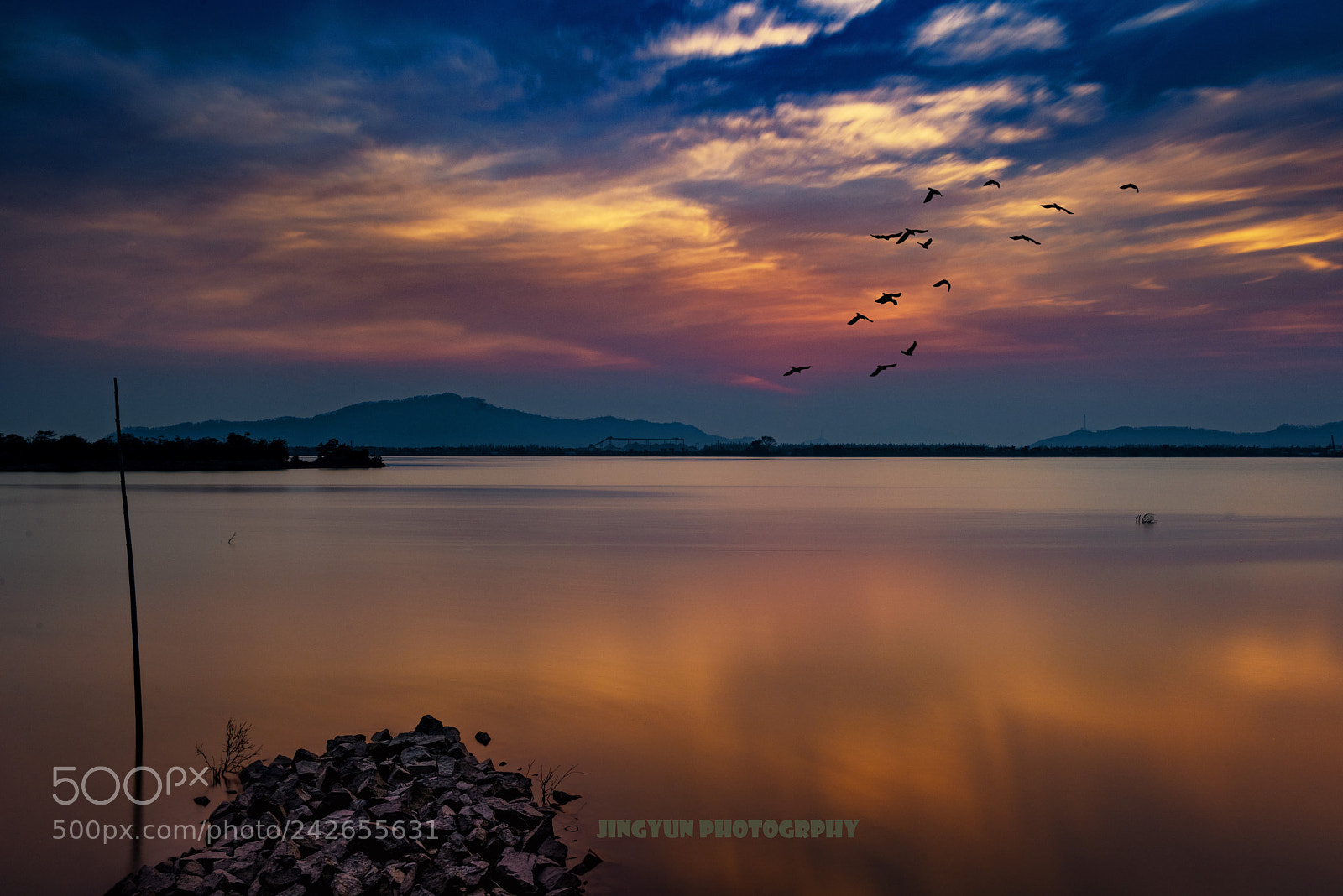 Nikon D810 sample photo. Untitled photography