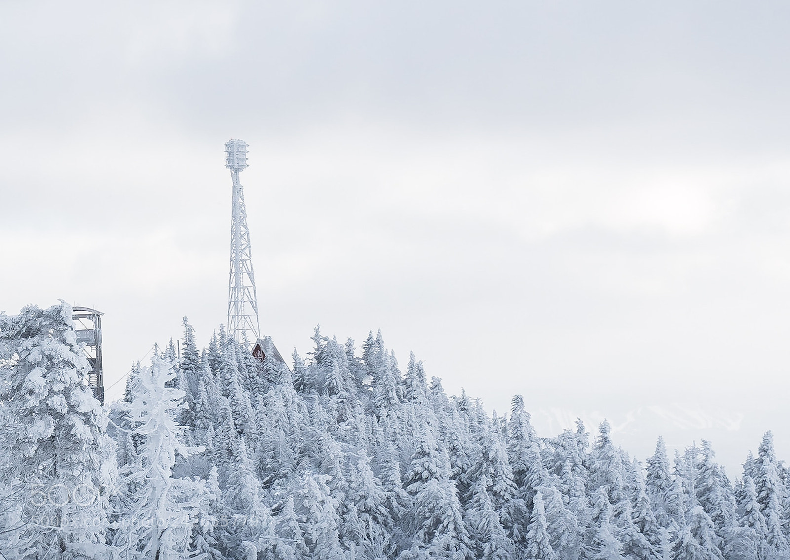 Fujifilm X-T20 sample photo. Summit of mont tremblant photography