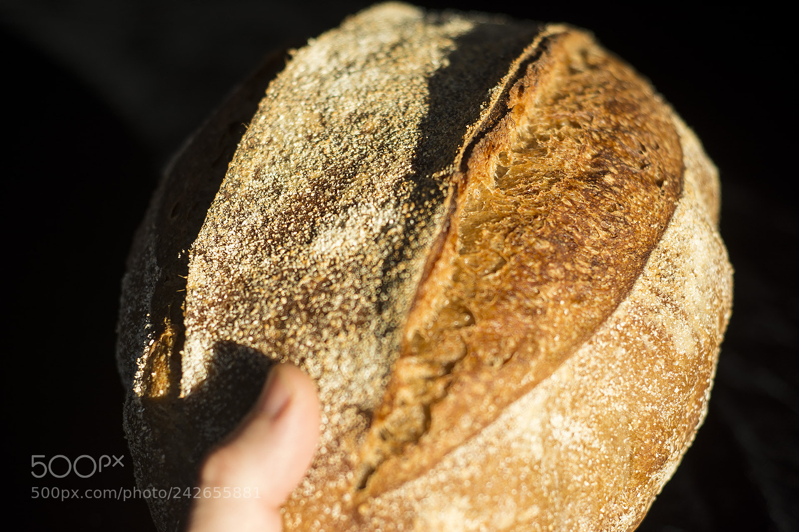 Nikon D7100 sample photo. Honey wheat sourdough photography