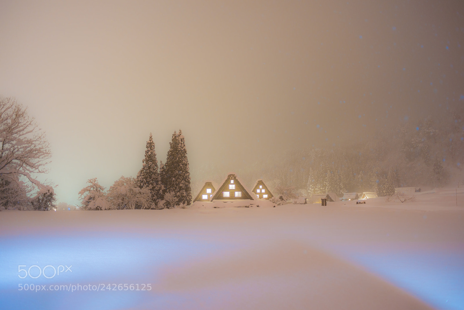 Nikon D800 sample photo. Shirakawa-go photography