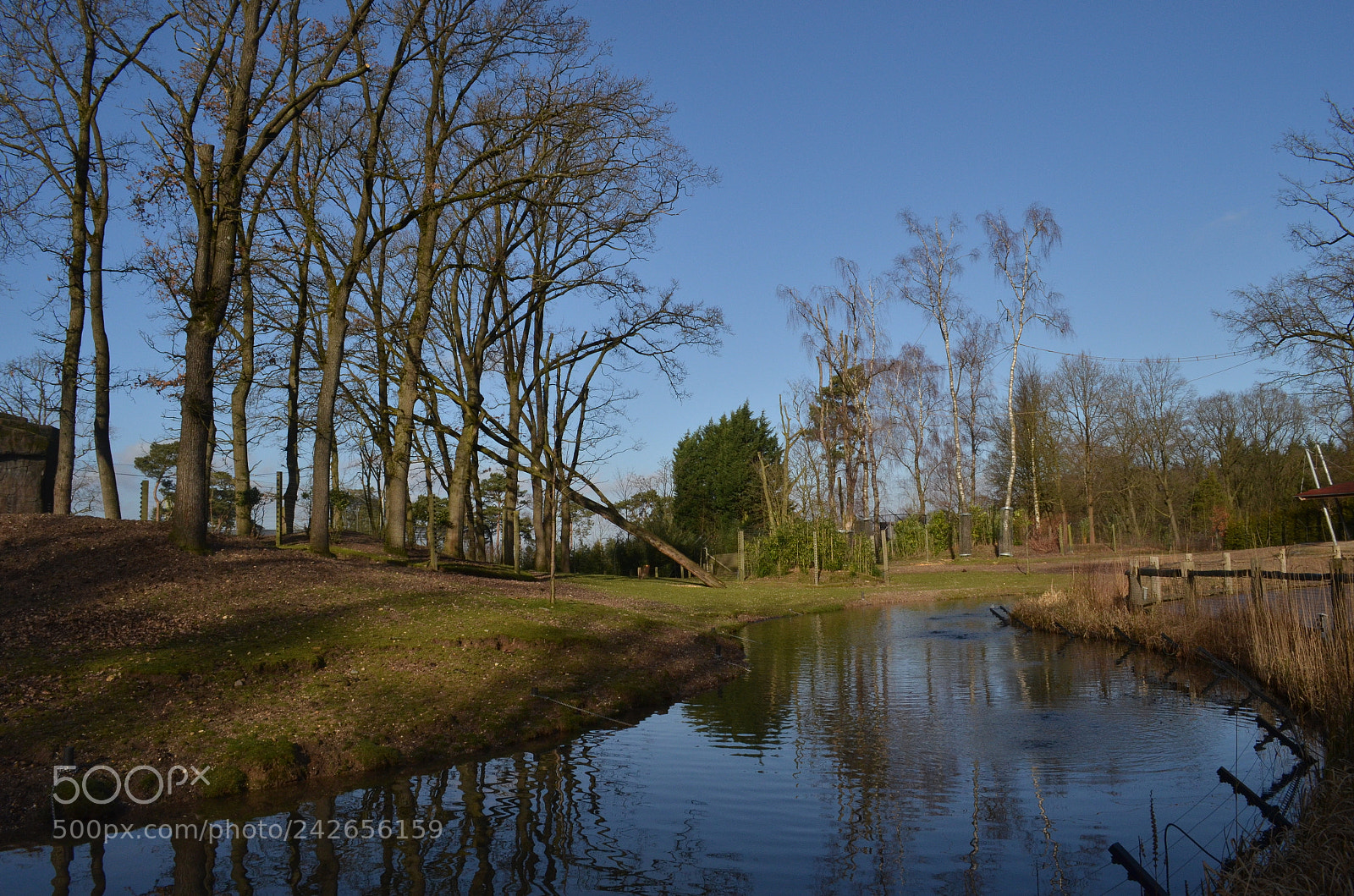 Nikon D5100 sample photo. Gifted shot uv filters photography