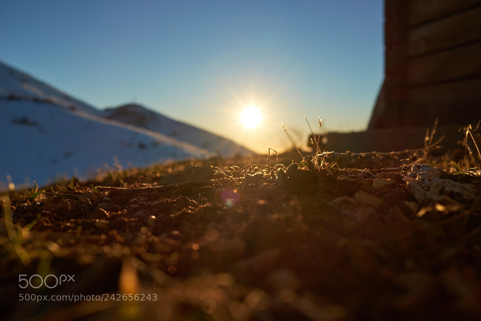 Fujifilm X-T10 sample photo. Close-up sun rays and photography