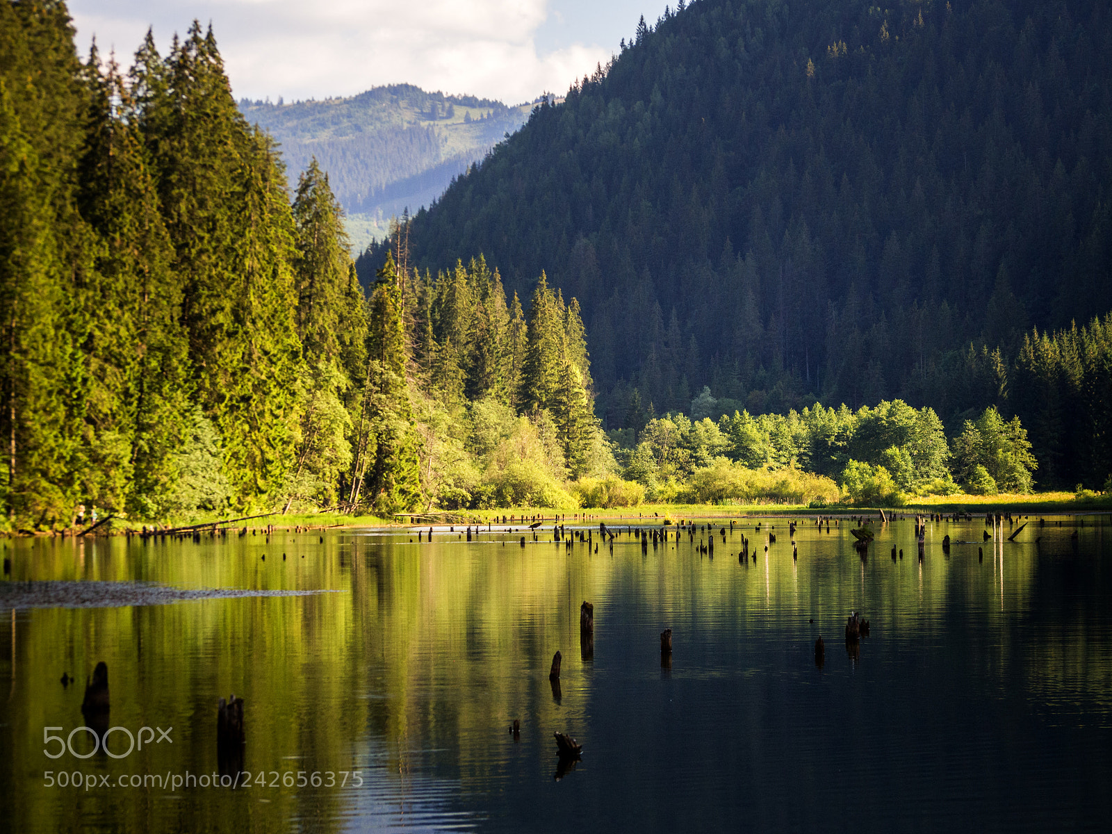 Olympus PEN E-P5 sample photo. The red lake photography