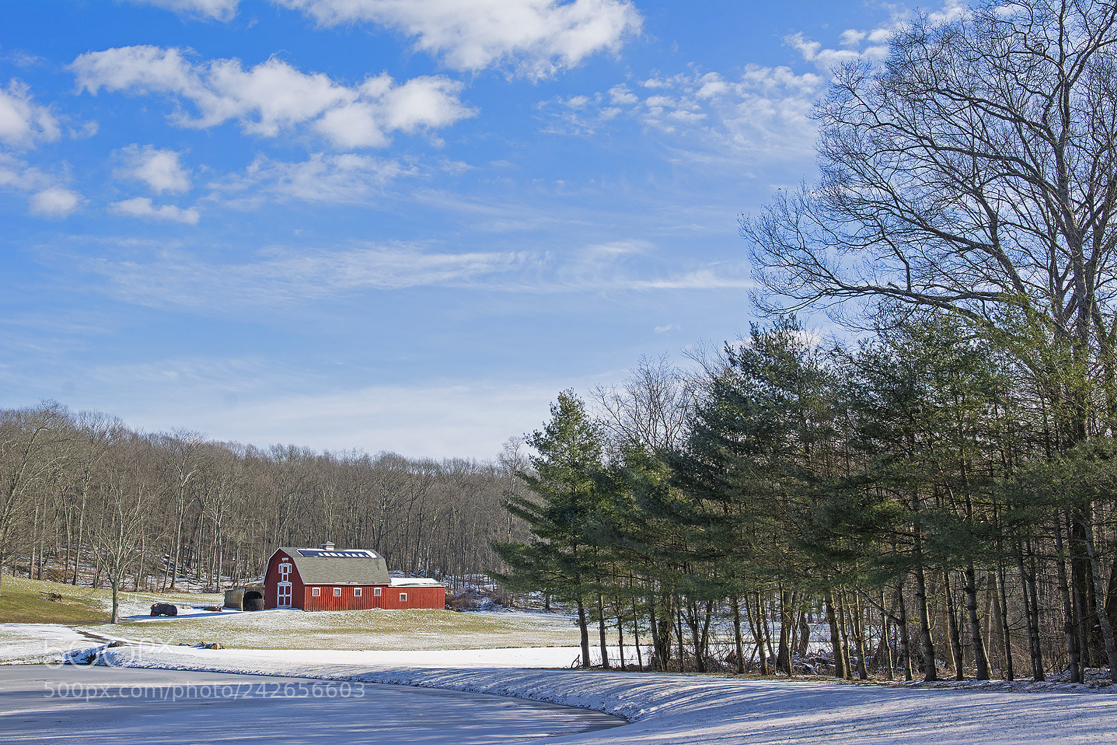 Nikon D7100 sample photo. Bassets photography